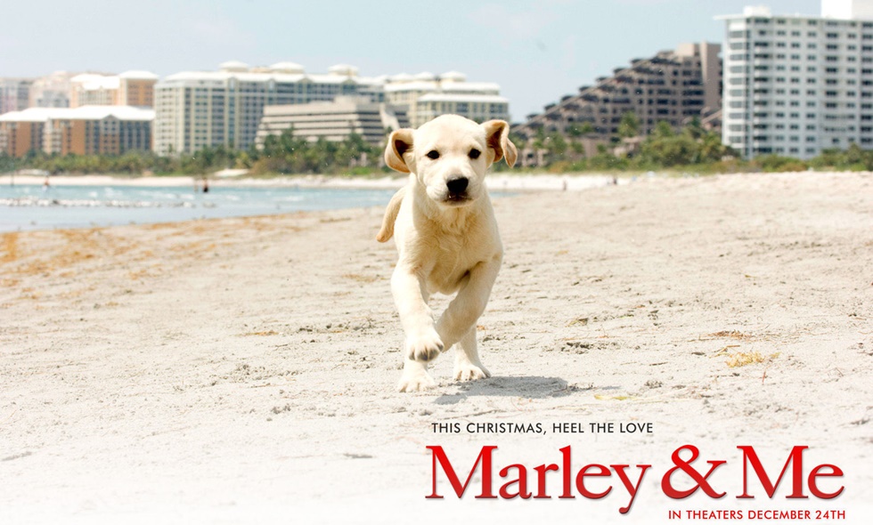 marley and me amazon prime video